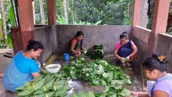 ভরা মৌসুমেও খাসিয়া পানের উৎপাদন কম