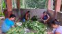 ভরা মৌসুমেও খাসিয়া পানের উৎপাদন কম
