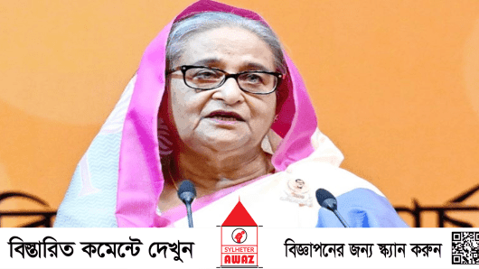 নীরবতা ভাঙলেন শেখ হাসিনা, ক্ষমতাচ্যুতের জন্য যুক্তরাষ্ট্রকে দায়ী করলেন