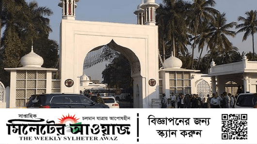 বঙ্গভবনে ১৩ সমন্বয়ক,সঙ্গে দুই অধ্যাপক