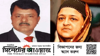 সরকার পদত্যাগের পর ইলিয়াস আলীর মুক্তির দাবী: লুনা