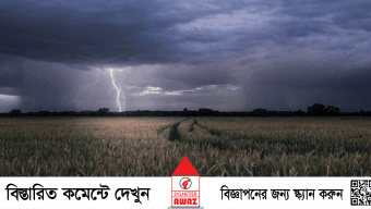 মাধবপুরে বজ্রপাতে দুই ভাইয়ের মৃত্যু