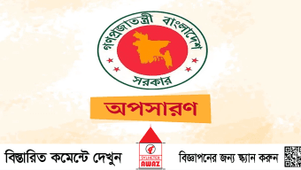 সব উপজেলা পরিষদের চেয়ারম্যানকে অপসারণ