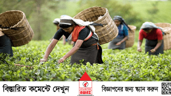সংকটের মুখে সিলেটের চা শিল্প