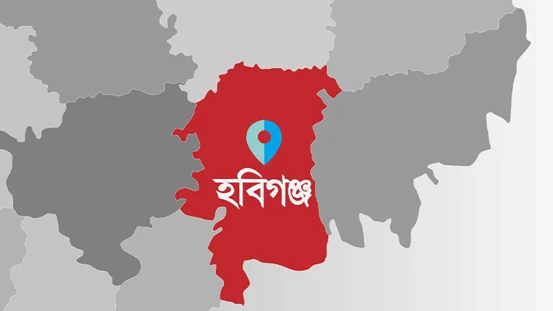 হবিগঞ্জে বৈষম্যবিরোধী আন্দোলনের সমন্বয়ককে কুপিয়ে জখম