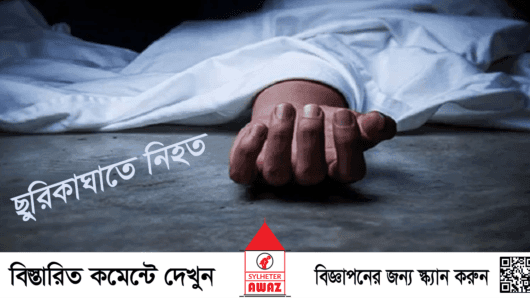 হবিগঞ্জে ভাই নিল ভাইয়ের প্রাণ
