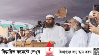 আওয়ামী সরকার অবৈধভাবে দেশ শাসন করেছে:মামুনুল হক