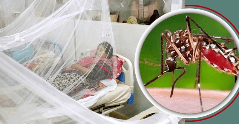 দেশে ভয়াবহ ডেঙ্গু ভয়াবহ আকার ধারণ করেছে আরও ৫ জনের মৃত্যু, শনাক্ত ৯৮১