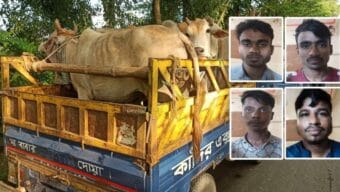 সিলেটে ২৪ গরুসহ চার চোরাকারবারী আটক