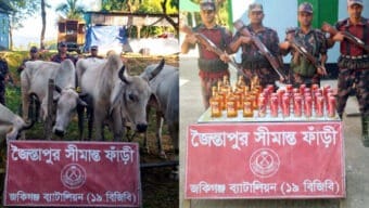 জৈন্তাপুরে বিজিবির অভিযানে ভারতীয় গরু ও মদ উদ্ধার