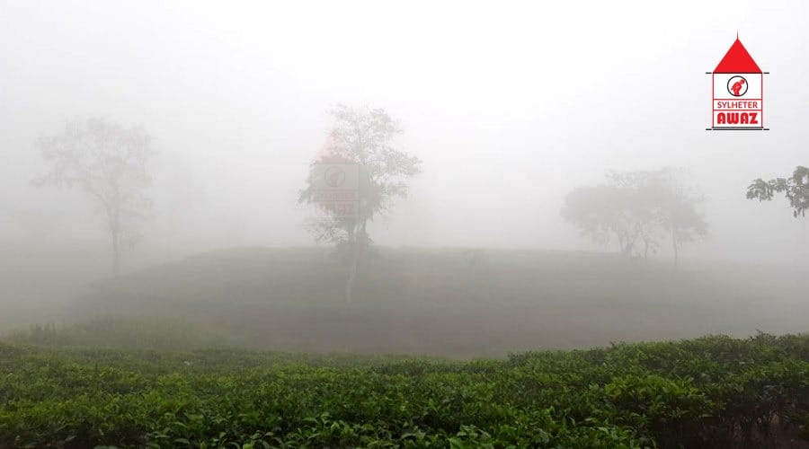 দেশের সর্বনিম্ন তাপমাত্রা রেকর্ড শ্রীমঙ্গলে