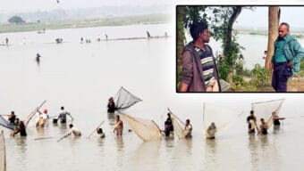 দক্ষিণ সুরমার মেদ্দী বিলের মাছ হরিলুট তাকিয়ে রইলো পুলিশ