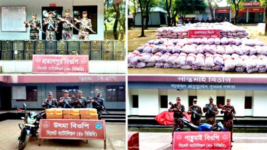 সিলেট সীমান্তে পৌনে দুই কোটি টাকার ভারতীয় পণ্য জব্দ