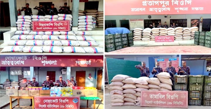 সিলেট সীমান্তে ৫৩ লাখ টাকার ভারতীয় চোরাই পণ্য জব্দ
