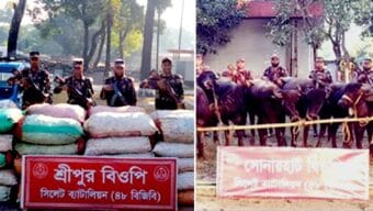 সিলেট সীমান্তে কোটি টাকার ভারতীয় চোরাই পণ্য জব্দ