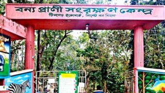 সিলেটের টিলাগড় ইকোপার্কে তত্ত্বাবধানের অভাবে মারা গেছে অর্ধেক প্রাণী