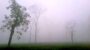 শ্রীমঙ্গলে কমছে না শীত, তাপমাত্রা ১১.১ ডিগ্রি সেলসিয়াস