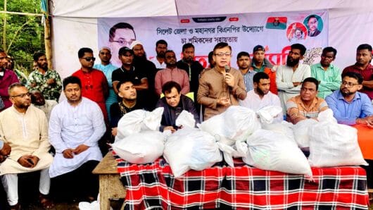 রুগ্ন চা শিল্পের শ্রমিকদের দুর্দশা লাঘবে উদ্যোগ নেবে বিএনপি: মুক্তাদির
