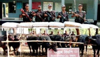 সিলেট সীমান্তে বিজিবি’র অভিযানে জব্দ চাল-মহিষ