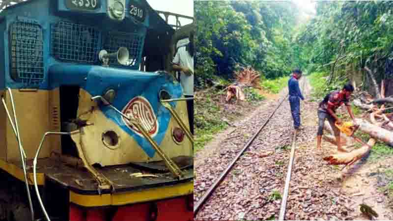 লাউয়াছড়ায় গাছের সঙ্গে ট্রেনের ধাক্কা, দুর্ঘটনা থেকে রক্ষা পেল কালনী এক্সপ্রেস