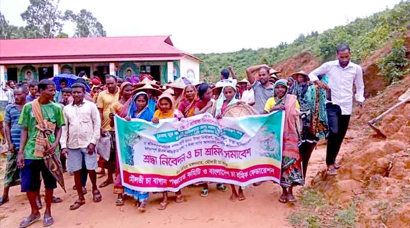 মৌলভীবাজারে চা শ্রমিক দিবস পালন