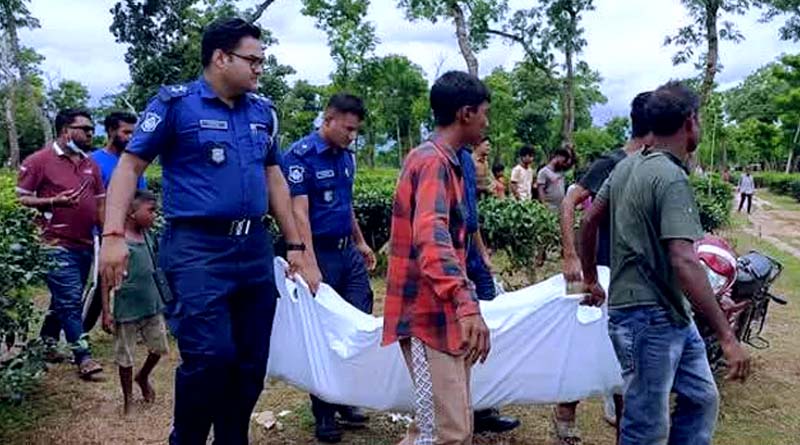 শ্রীমঙ্গলে চা বাগান থেকে তরুণের লাশ উদ্ধার