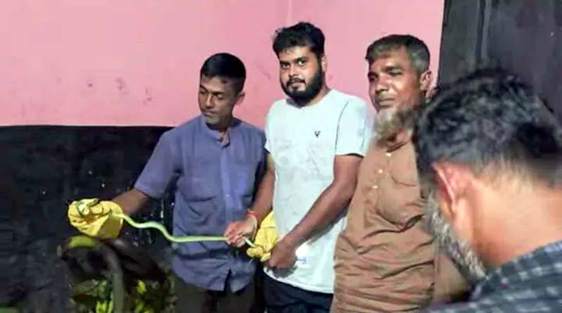 শ্রীমঙ্গলে কলার আড়ৎ থেকে সবুজ ফণীমনসা সাপ উদ্ধার