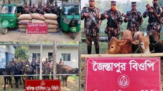 সিলেটে বিজিবি’র বড় অভিযান: প্রায় ২ কোটি টাকার ভারতীয় পণ্য ও গবাদিপশু জব্দ