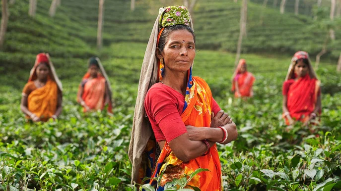 তৃপ্তির ধোঁয়া চায়ের কাপে, কারিগররা যেন আধুনিক যুগের ‘ক্রীতদাস’